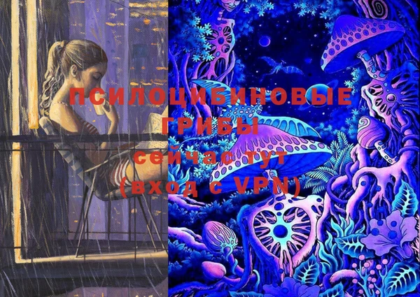 ГАЛЛЮЦИНОГЕННЫЕ ГРИБЫ Нея