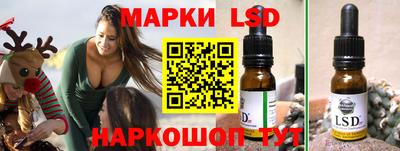 стаф Кингисепп