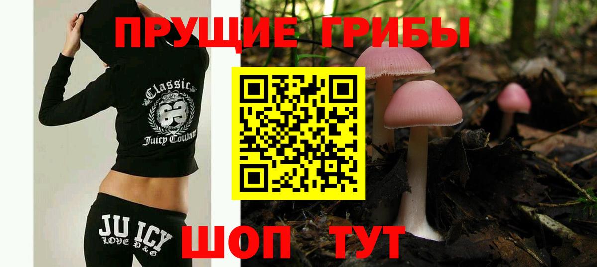 где купить наркотик  Псилоцибиновые грибы мухоморы  Новый Уренгой  Вход с VPN  Галлюциногенные грибы Cubensis 